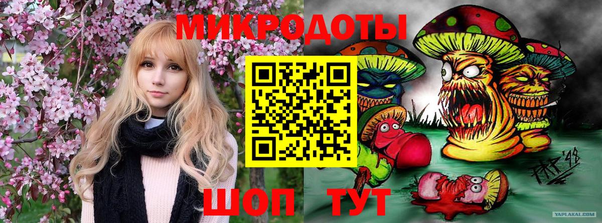 Галлюциногенные грибы прущие грибы Саянск