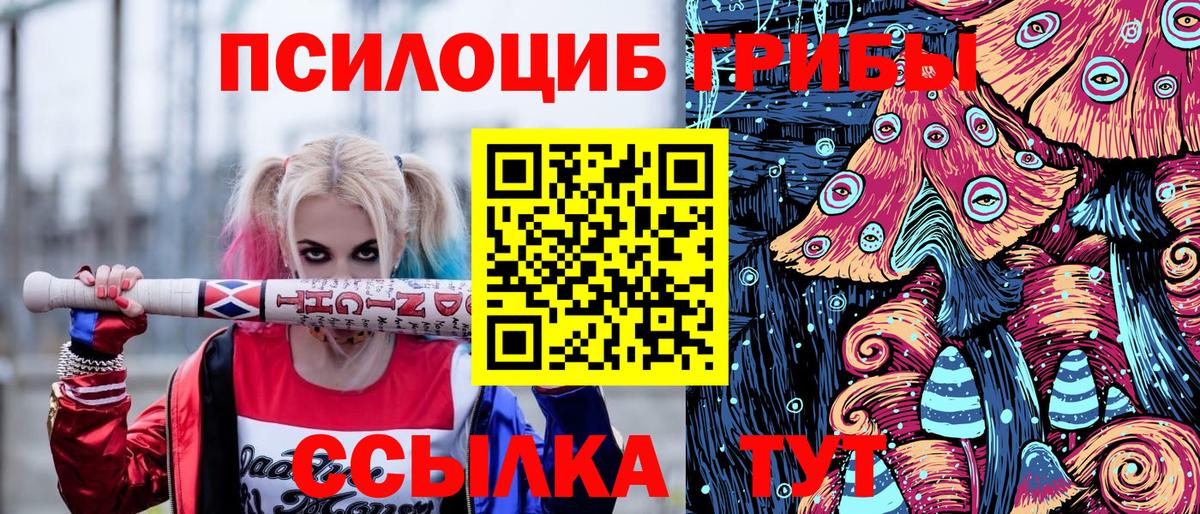Саянск  Галлюциногенные грибы Magic Shrooms  Вход с VPN  Галлюциногенные грибы мицелий 